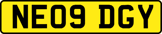 NE09DGY