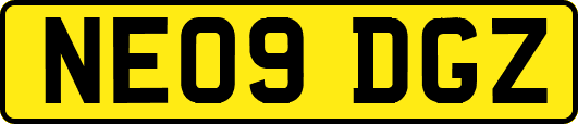 NE09DGZ