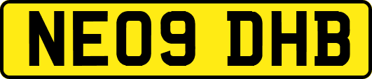 NE09DHB