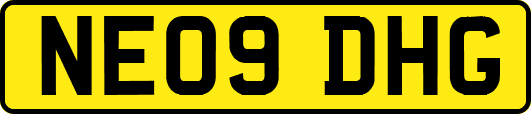 NE09DHG