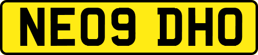NE09DHO