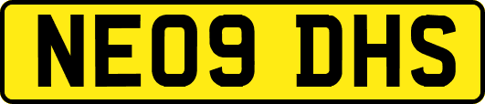 NE09DHS