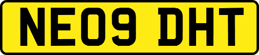 NE09DHT