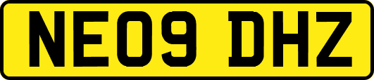 NE09DHZ