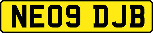 NE09DJB