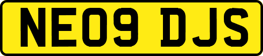 NE09DJS
