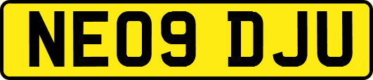 NE09DJU
