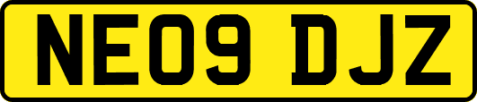 NE09DJZ