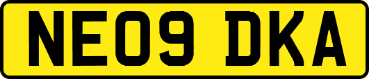 NE09DKA