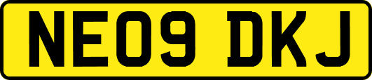 NE09DKJ