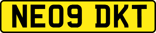 NE09DKT