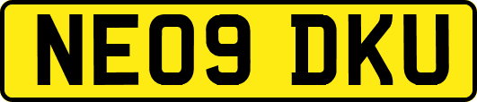 NE09DKU