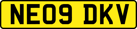 NE09DKV