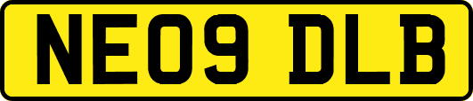 NE09DLB