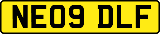 NE09DLF