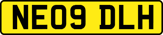 NE09DLH