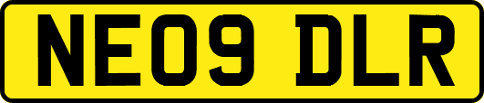 NE09DLR