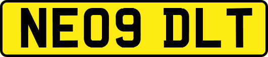 NE09DLT
