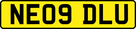 NE09DLU