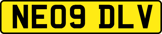 NE09DLV