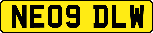 NE09DLW