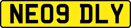NE09DLY