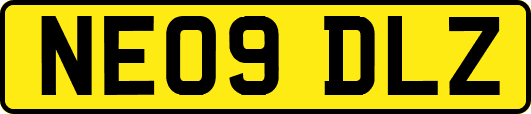 NE09DLZ