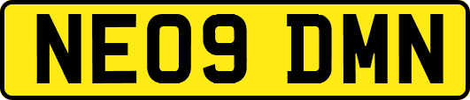 NE09DMN