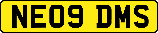 NE09DMS