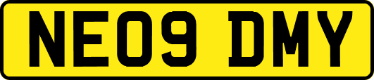 NE09DMY