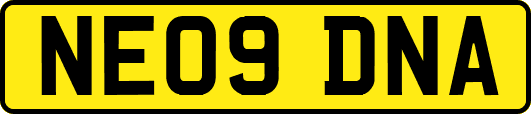 NE09DNA