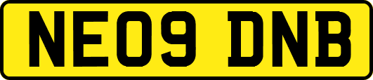 NE09DNB