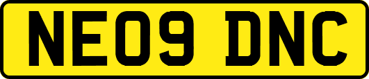 NE09DNC