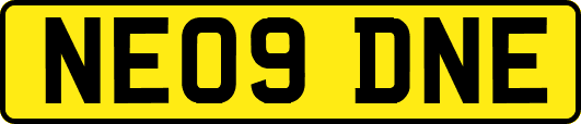 NE09DNE