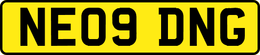 NE09DNG