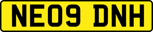 NE09DNH