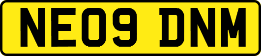 NE09DNM