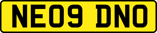 NE09DNO
