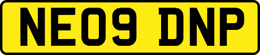NE09DNP