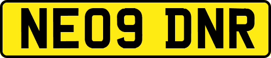 NE09DNR