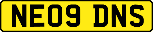NE09DNS