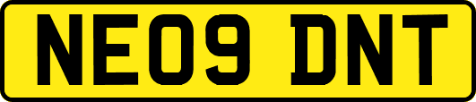 NE09DNT