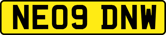 NE09DNW