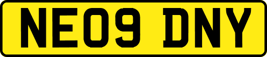 NE09DNY