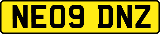 NE09DNZ