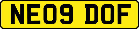 NE09DOF