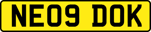 NE09DOK