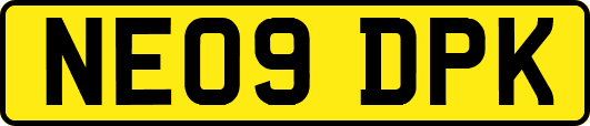 NE09DPK