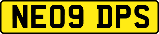 NE09DPS