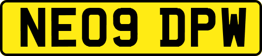 NE09DPW
